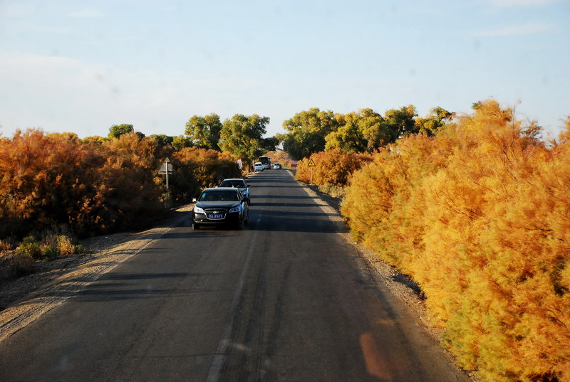 dsc_0926.jpg