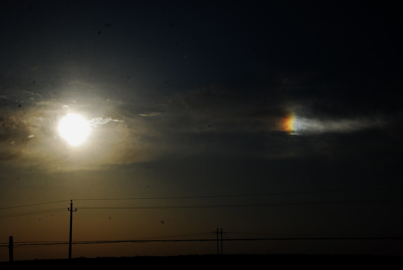 dsc_0931.jpg