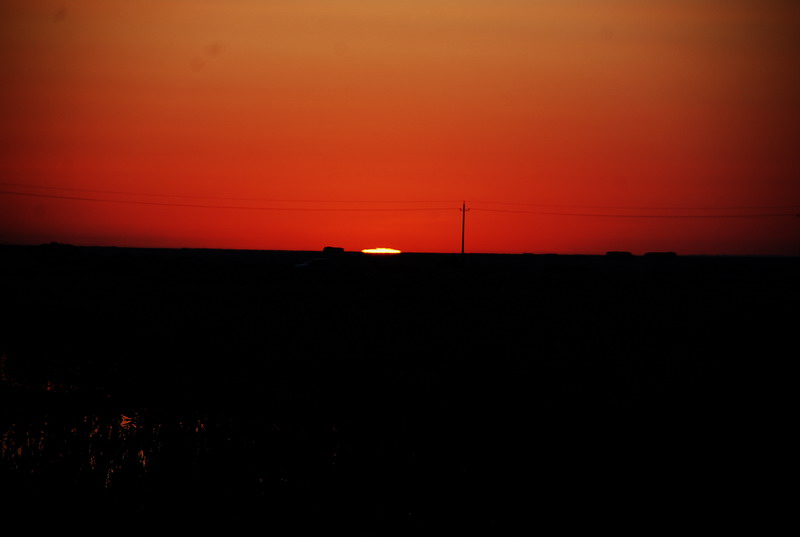 dsc_0050.jpg