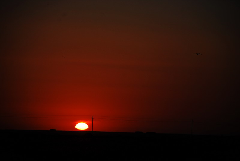 dsc_0066.jpg