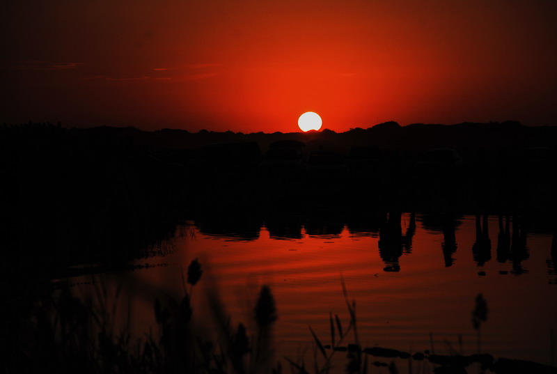 dsc_0980.jpg