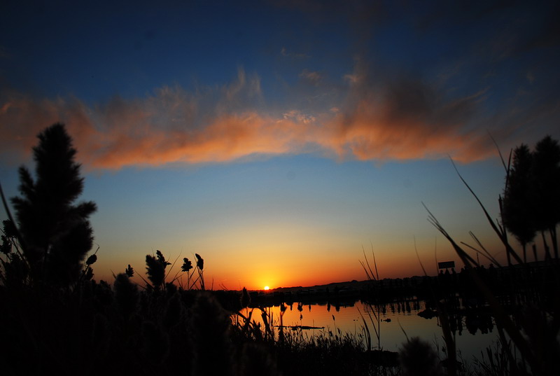 dsc_0982.jpg
