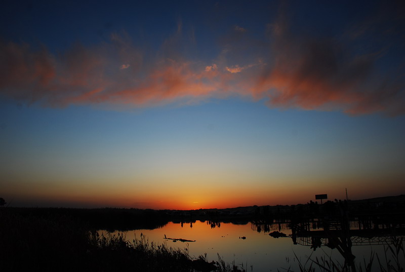 dsc_0996.jpg