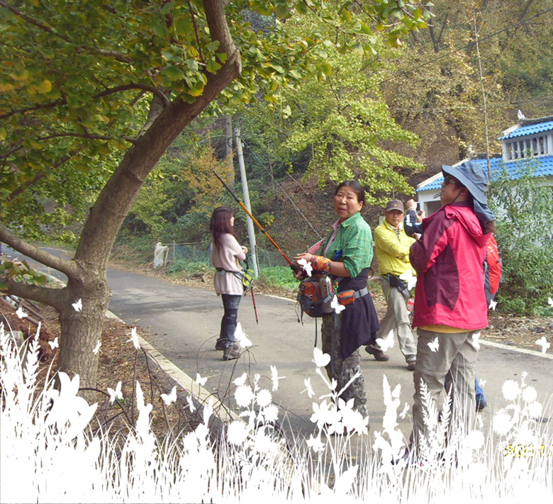sdc12915_.jpg