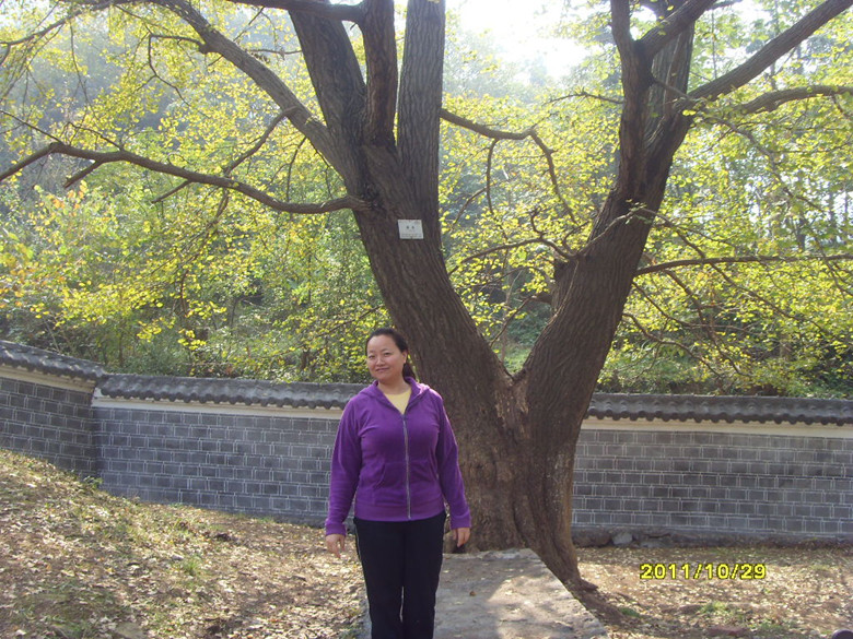 sdc12899_.jpg