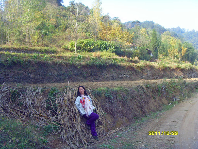 sdc12927_.jpg