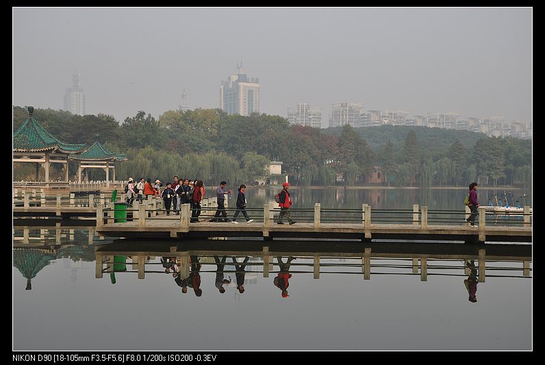 dsc_1216.jpg