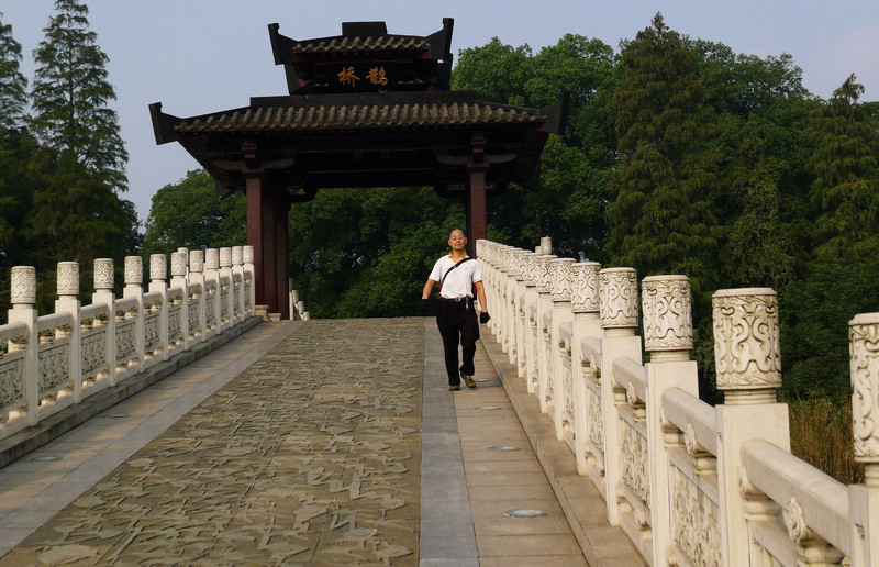 p1050994.jpg