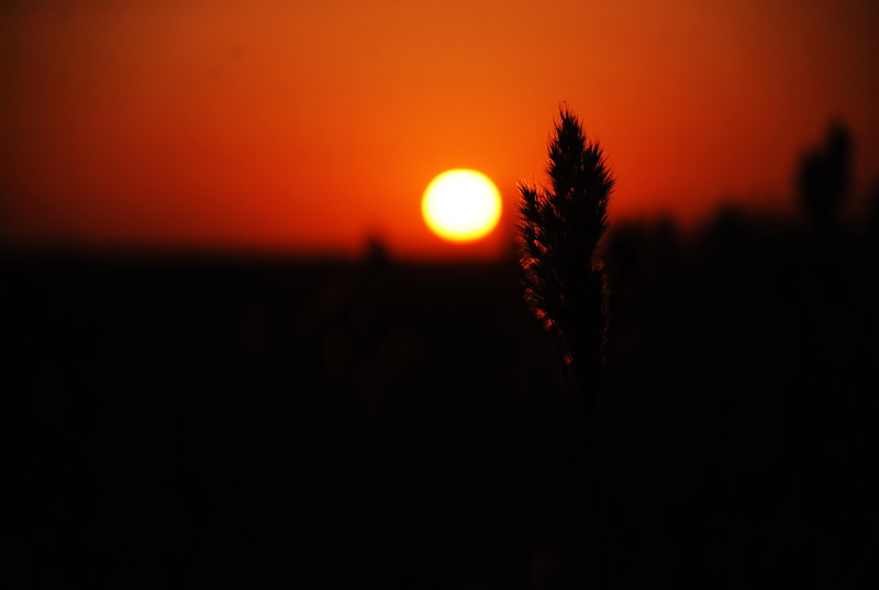 dsc_0076.jpg