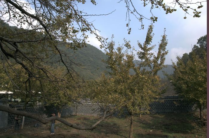 neo_img__dsc0001.jpg