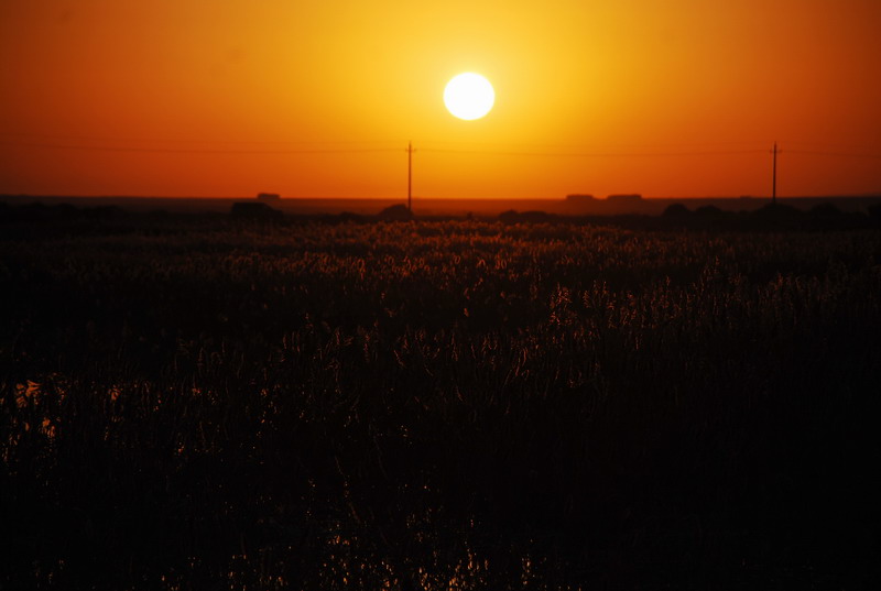 dsc_0097.jpg