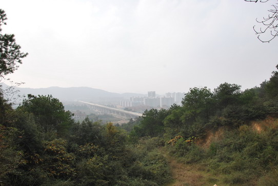 dsc_0006_С.jpg