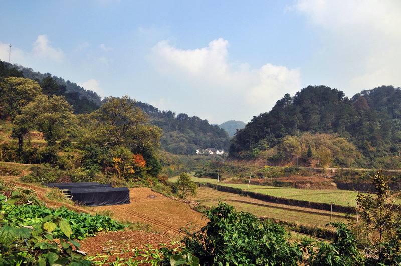 dsc_5609_1.jpg