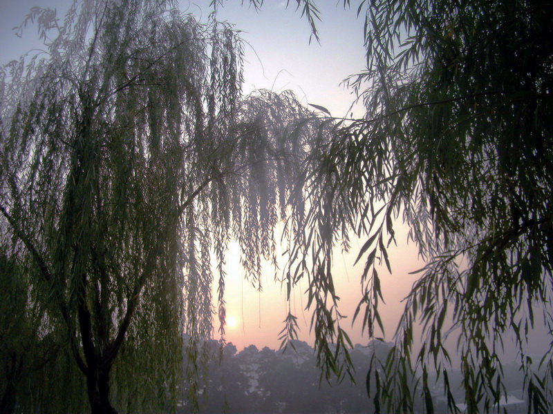 dscf0052.jpg