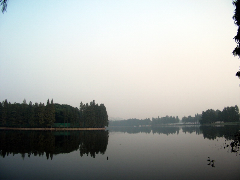 dscf0057.jpg