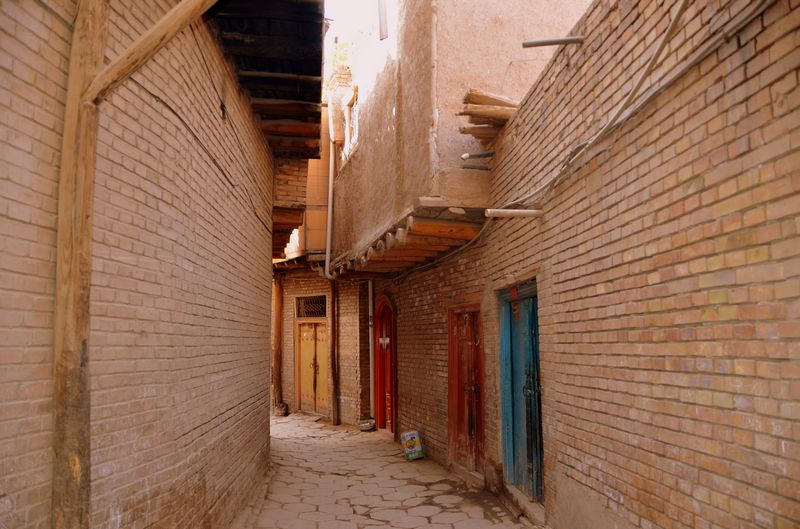 dsc_6818_neo_img.jpg