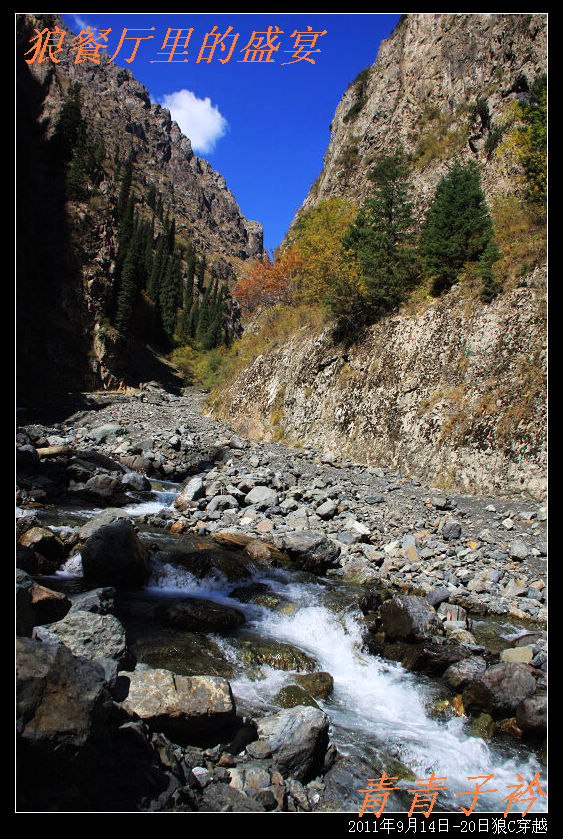 img_8695.jpg
