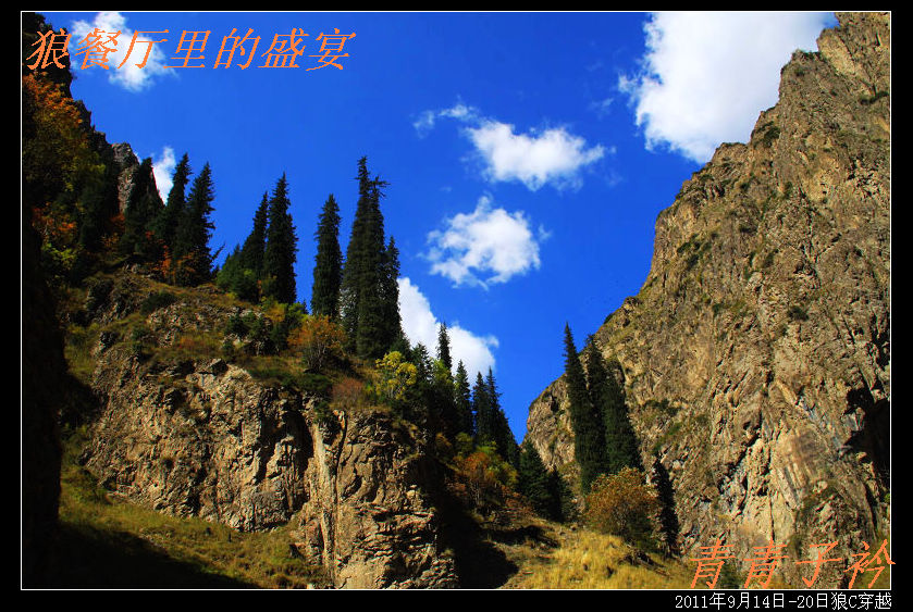 img_8705.jpg