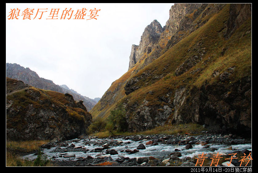 img_8772.jpg