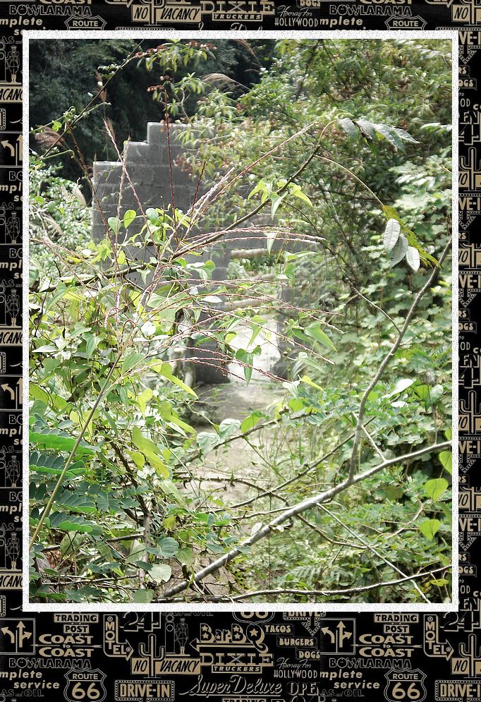dsc00100.jpg