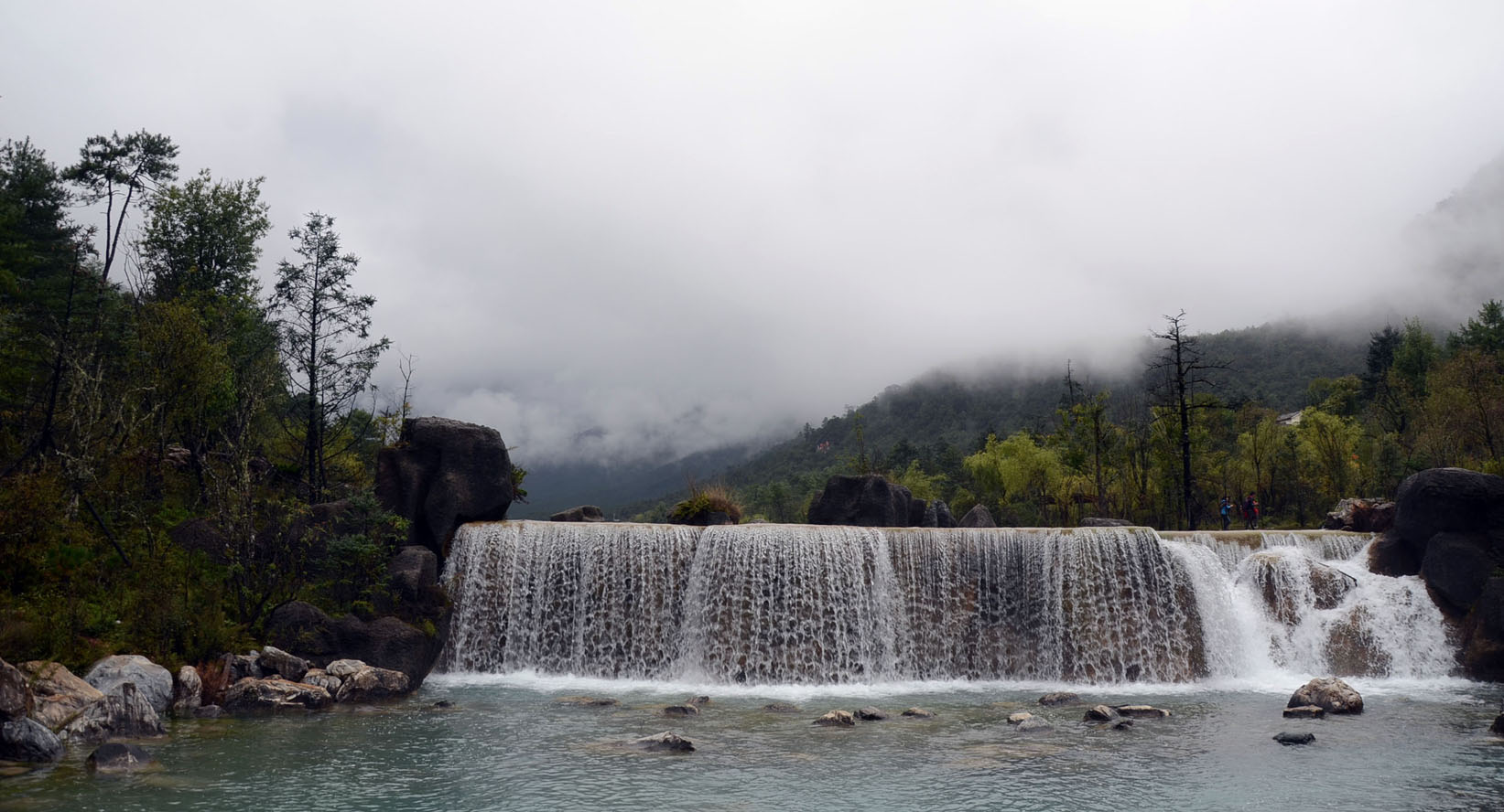 dsc_0987.jpg