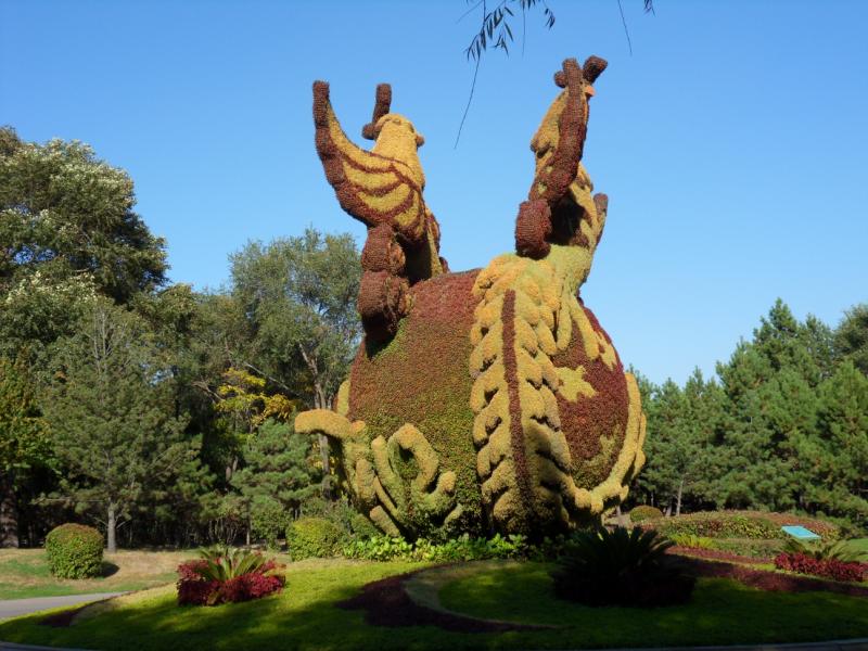sdc10620.jpg