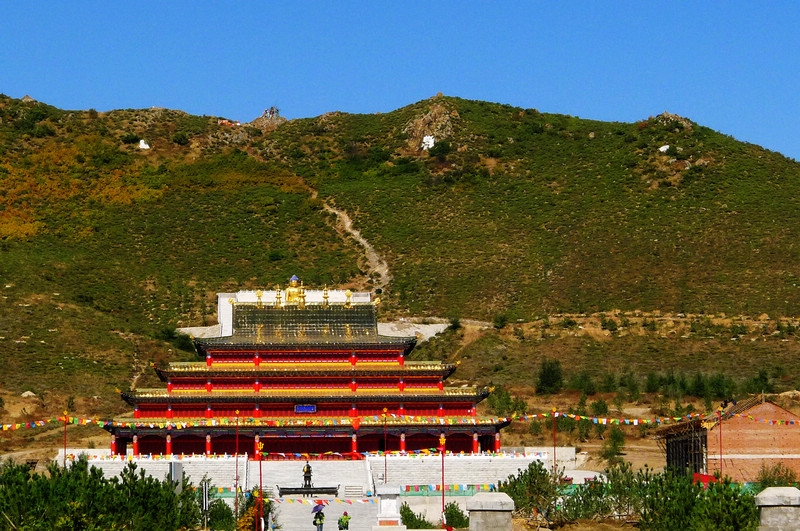 p1040853.jpg