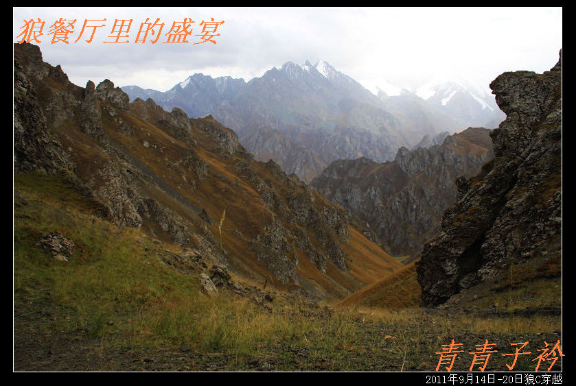 img_8887.jpg
