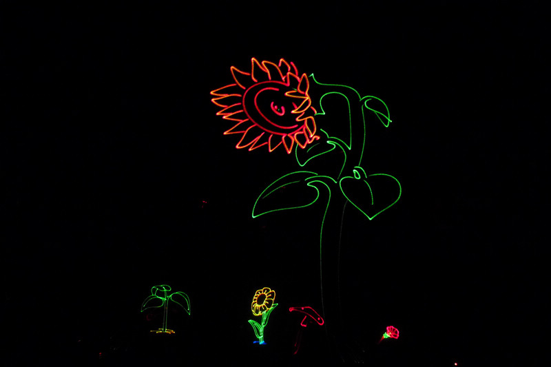 p1050147.jpg