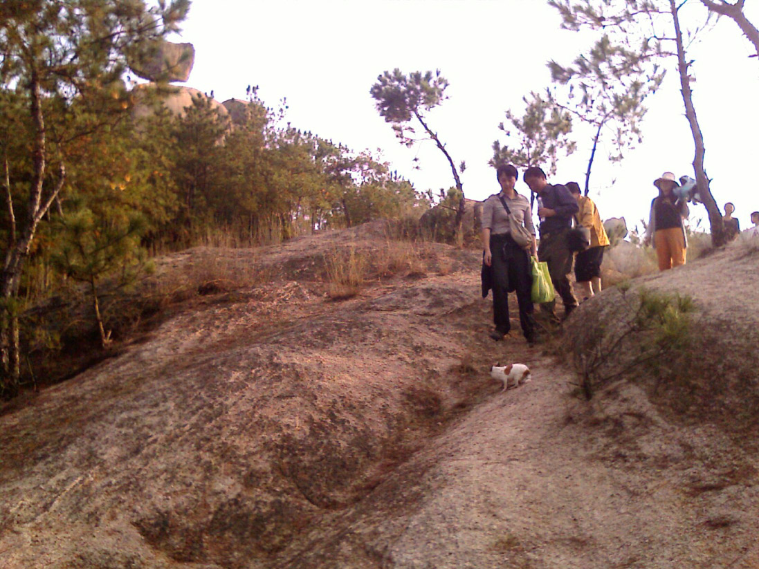 imag0370.jpg