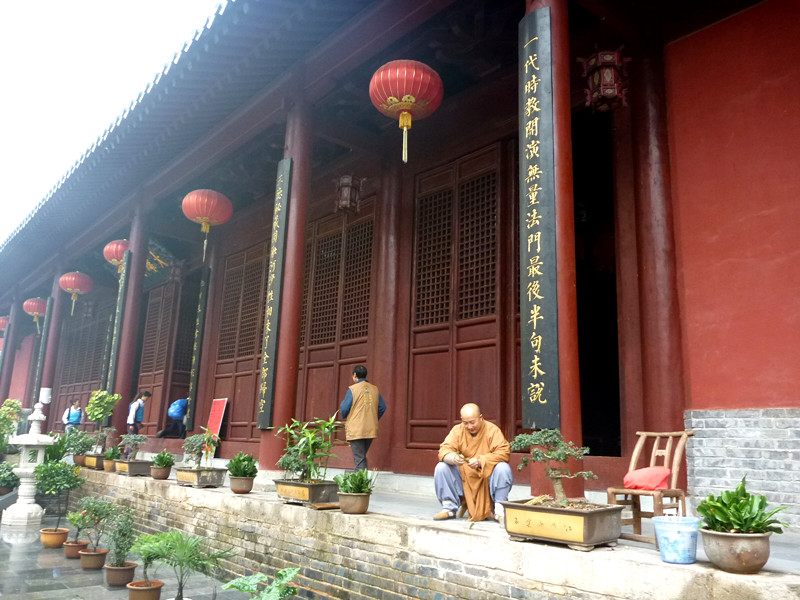 p1080240_.jpg