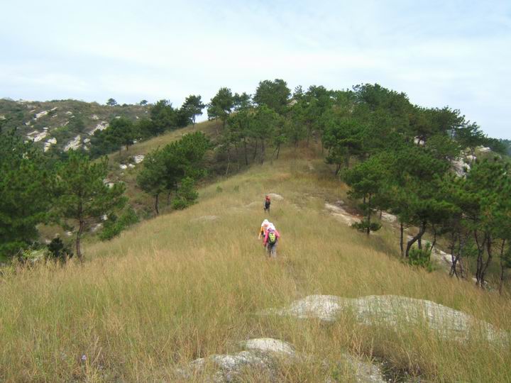 dscf5199.jpg