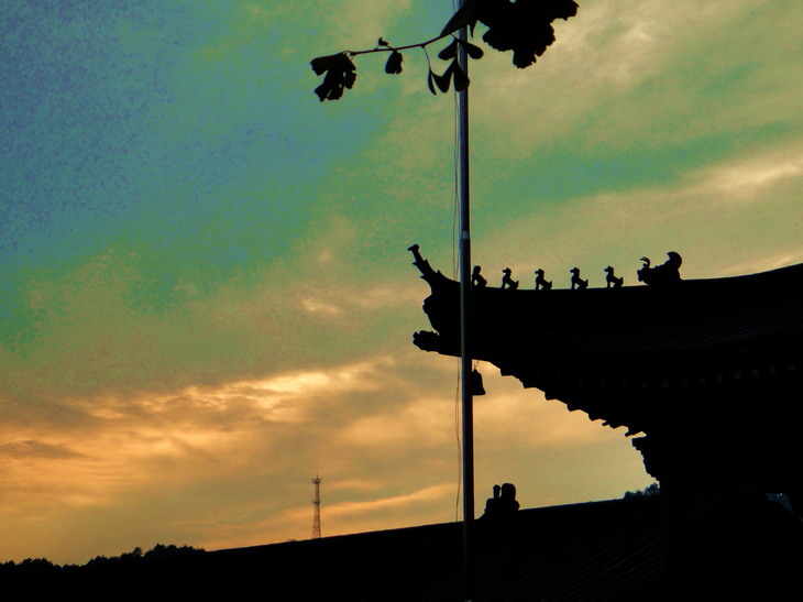 dc06645.jpg