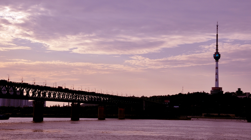 dsc_0310.jpg