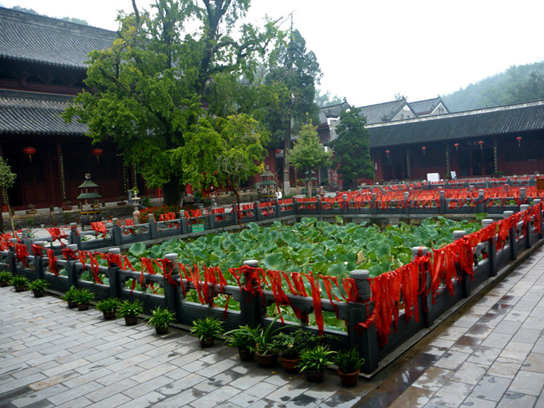 p1080277_.jpg