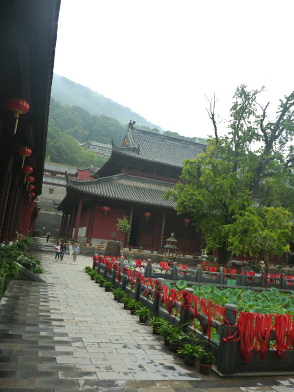 p1080278_.jpg