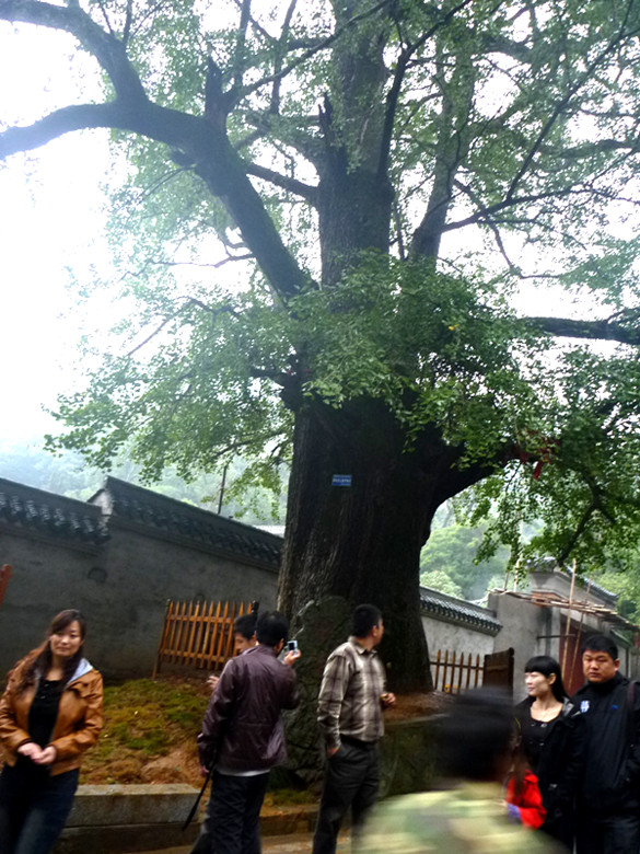 p1080283_.jpg