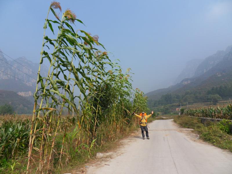 sdc10770.jpg