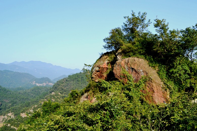  1041_conew1.jpg