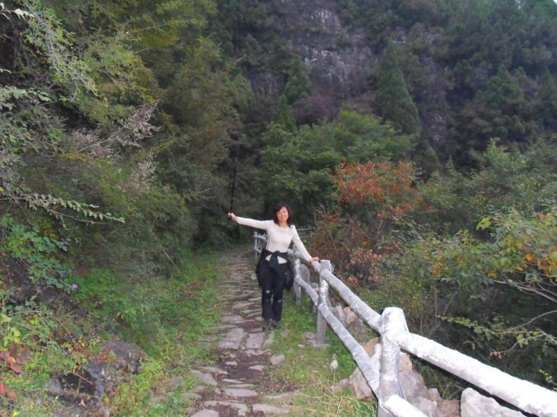 sdc10847.jpg