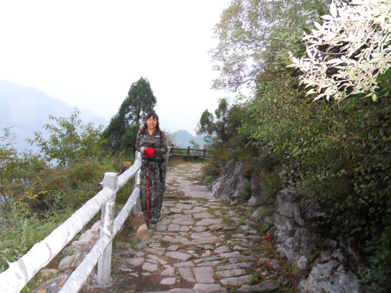 sdc10849.jpg