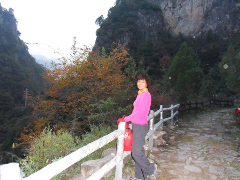 sdc10861.jpg