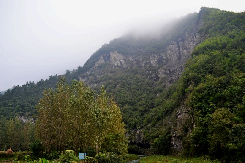  638_conew1.jpg