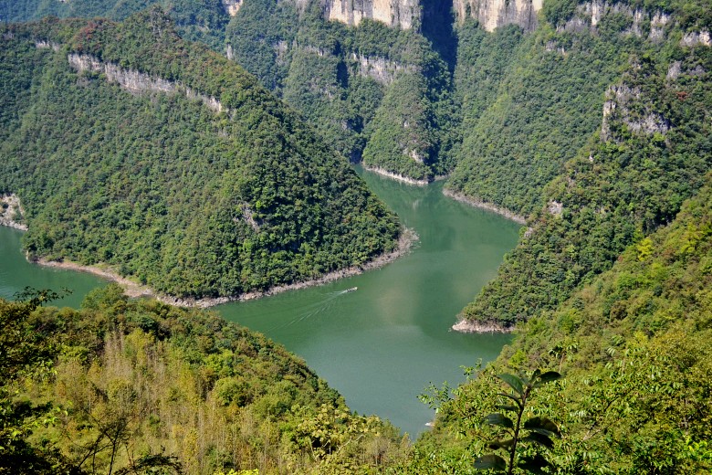  803_conew1.jpg