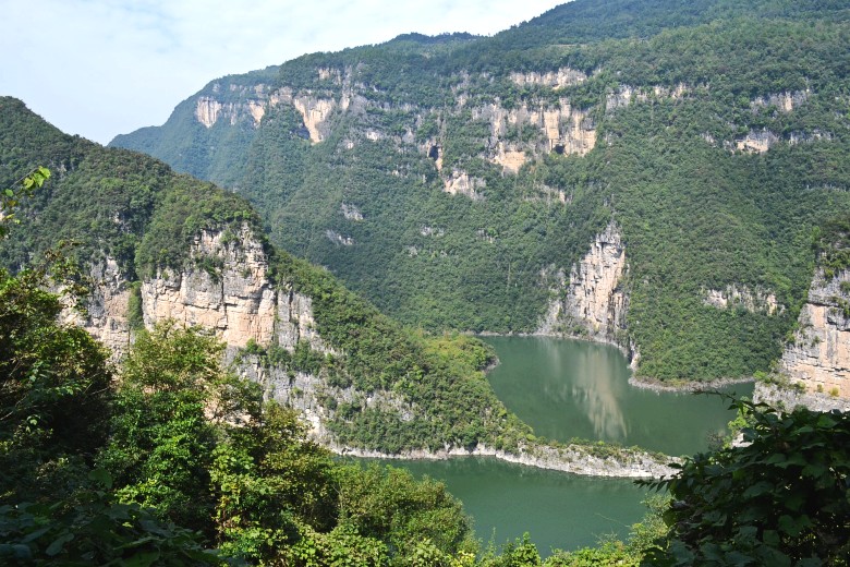  754_conew1.jpg