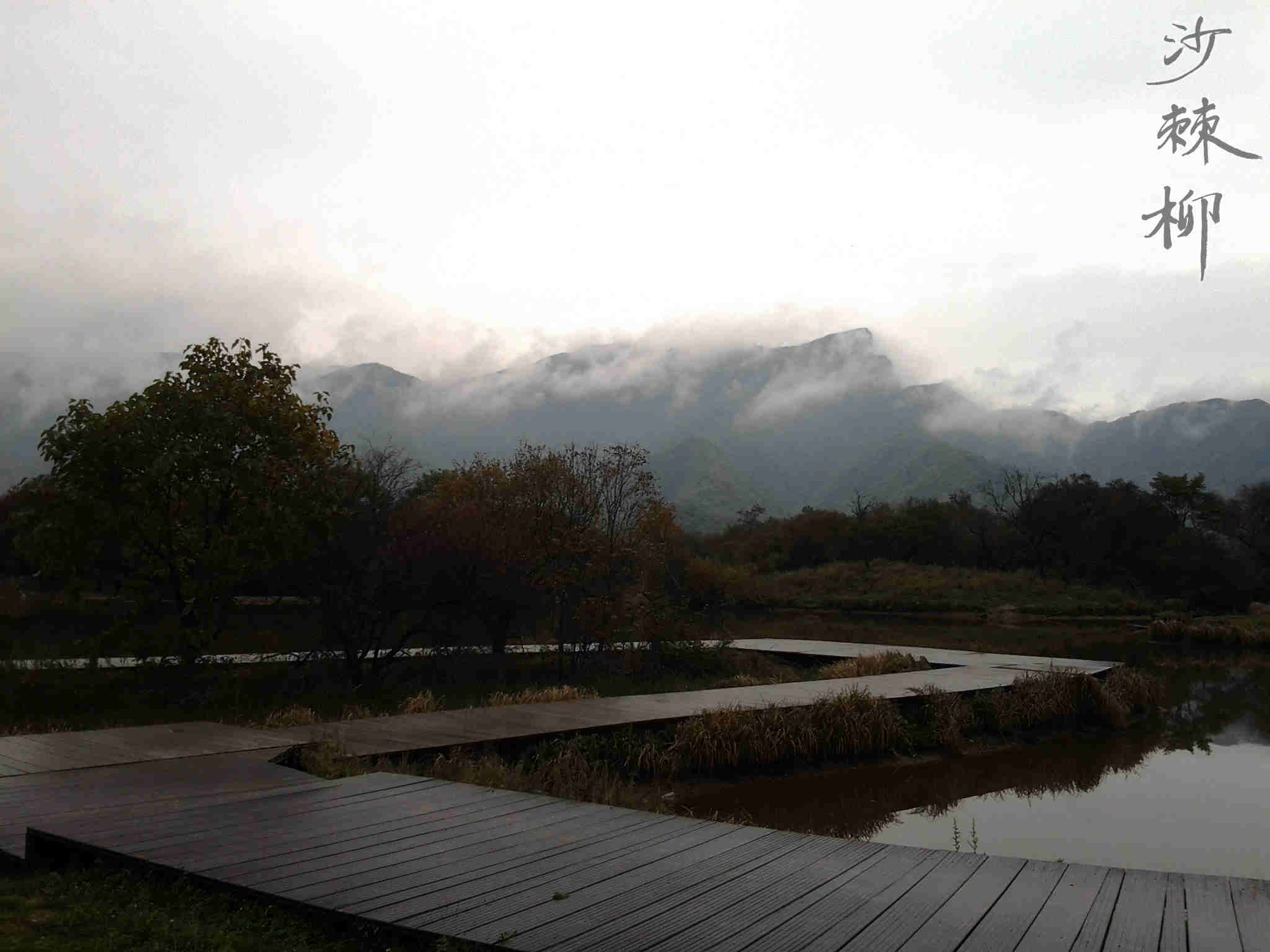 20111004_103804.jpg