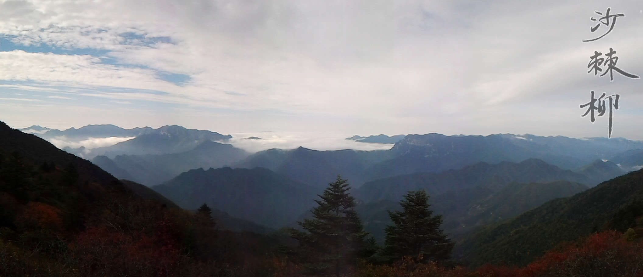 20111005_092123.jpg