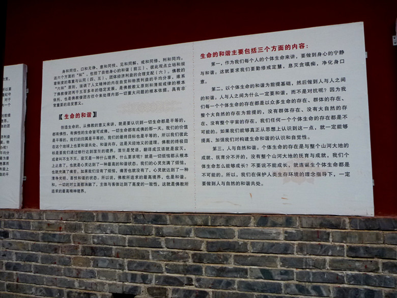 p1080271_.jpg