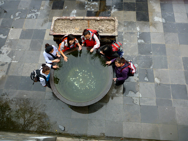 p1080252_.jpg