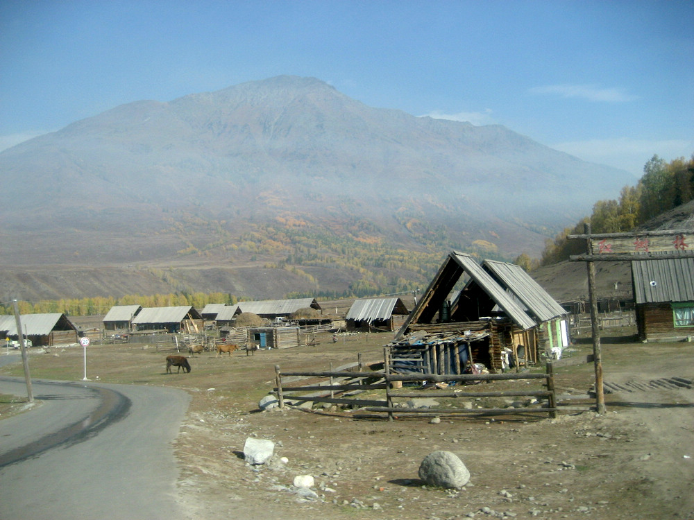 img_3323.jpg